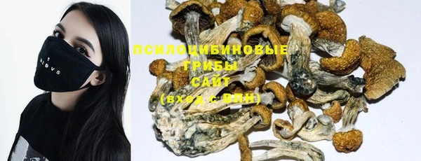 стаф Медвежьегорск