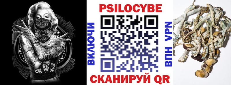 закладки  дарк нет как зайти  Псилоцибиновые грибы MAGIC MUSHROOMS  Сыктывкар 