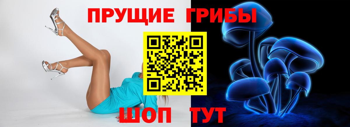 Сыктывкар  Галлюциногенные грибы Psilocybine cubensis  Вход с VPN 